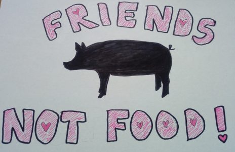 Friends not food